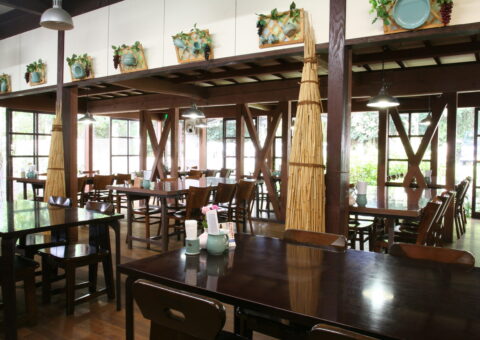 IMG_2561 IMG_2561